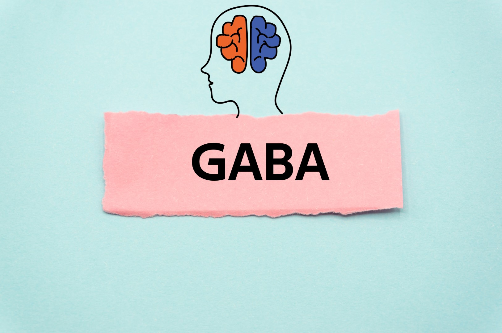 Figure 6 : GABA